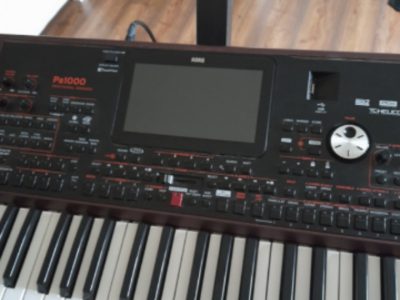 Korg PA1000