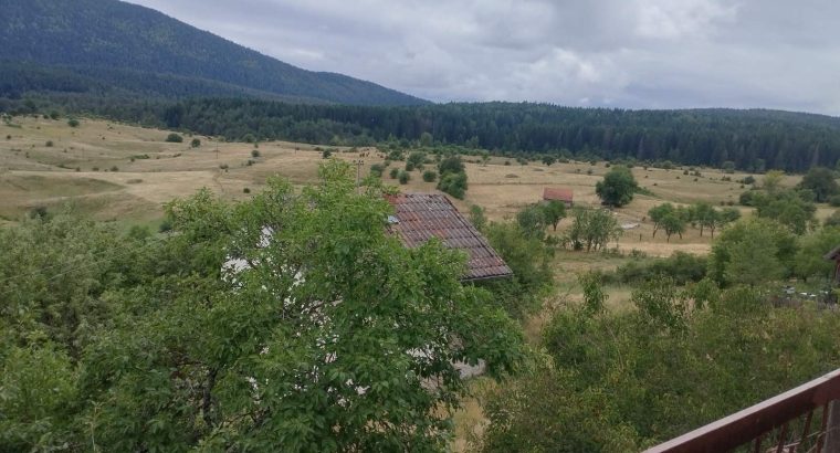 kuca